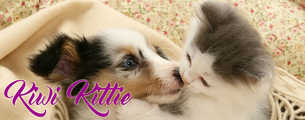 KiwiKittie.com Logo