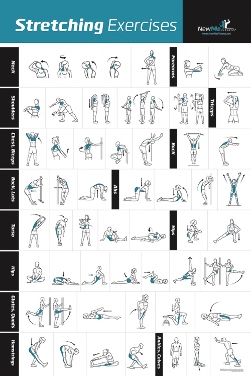 NewMe Fitness Stretching Exercise Poster on Amazon'