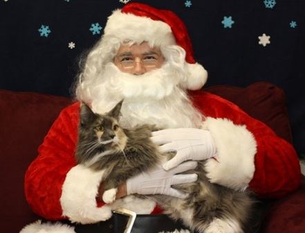 Paws and Claus'