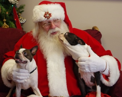 Falconbridge Animal Hospital