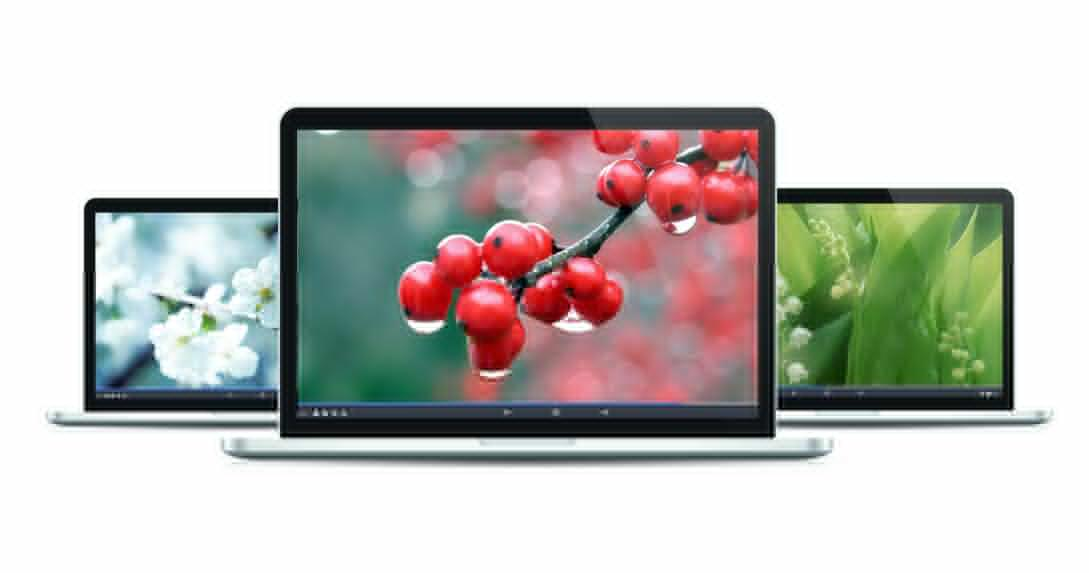 Focusky PowerPoint Alternative