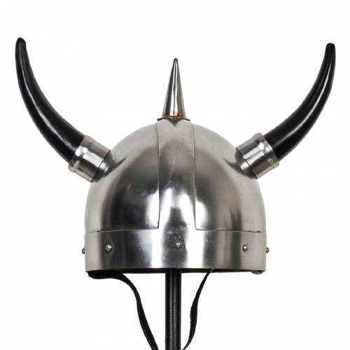 Viking helmet'