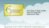Free Guide: 5 Easy Steps to Electronic File Organization