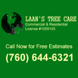 Laan’s Tree Care Logo