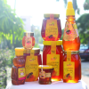 HONEY SUPPLIERS IN INDIA'