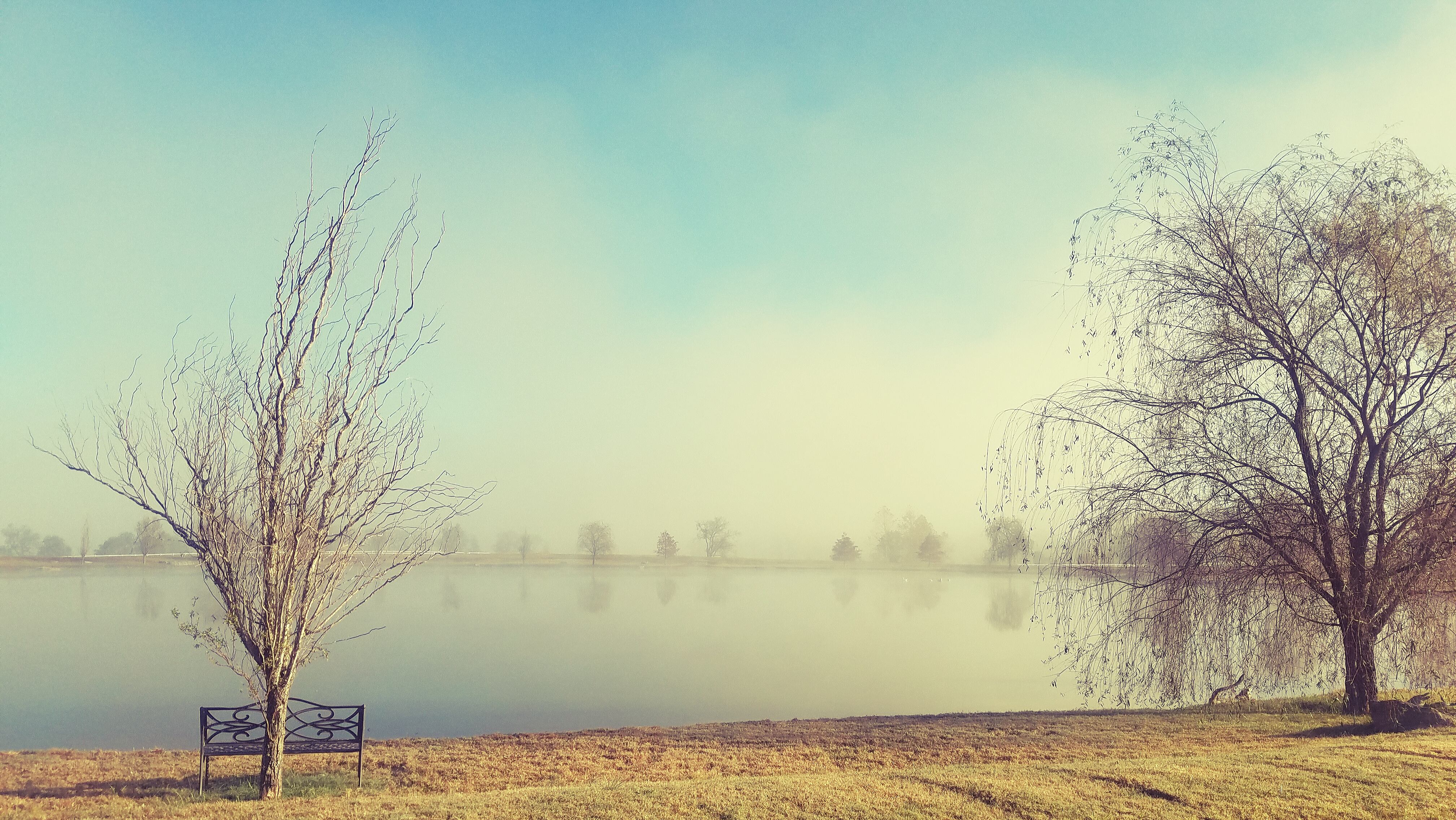 Take a Wind Around the Whippy Trail