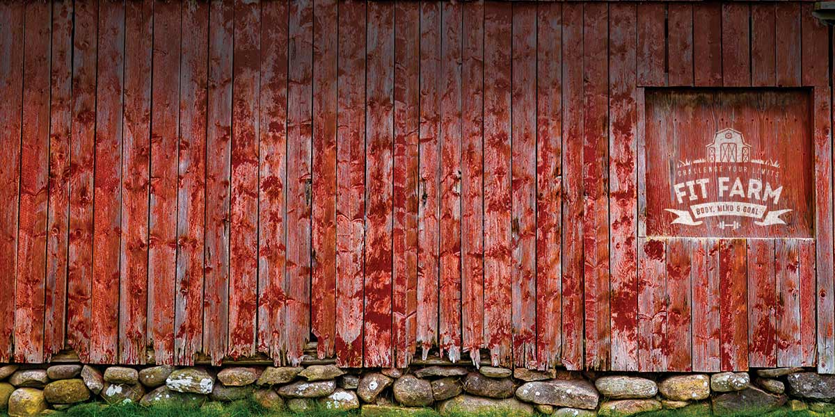 Welcome to the Whippy Barn!