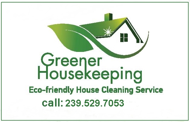 house cleaning service'