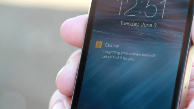 Cashew Smart Wallet'