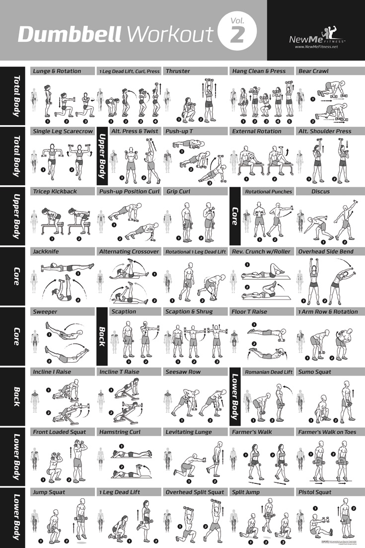 Dumbbell Exercises Chart Printable Pdf 5808