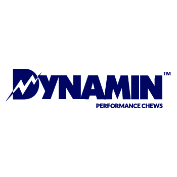Company Logo For Dynamin'