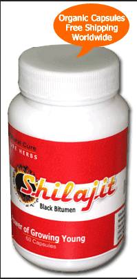 Shilajit Capsules'