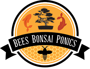 BeesBonsaiPonics.com Logo