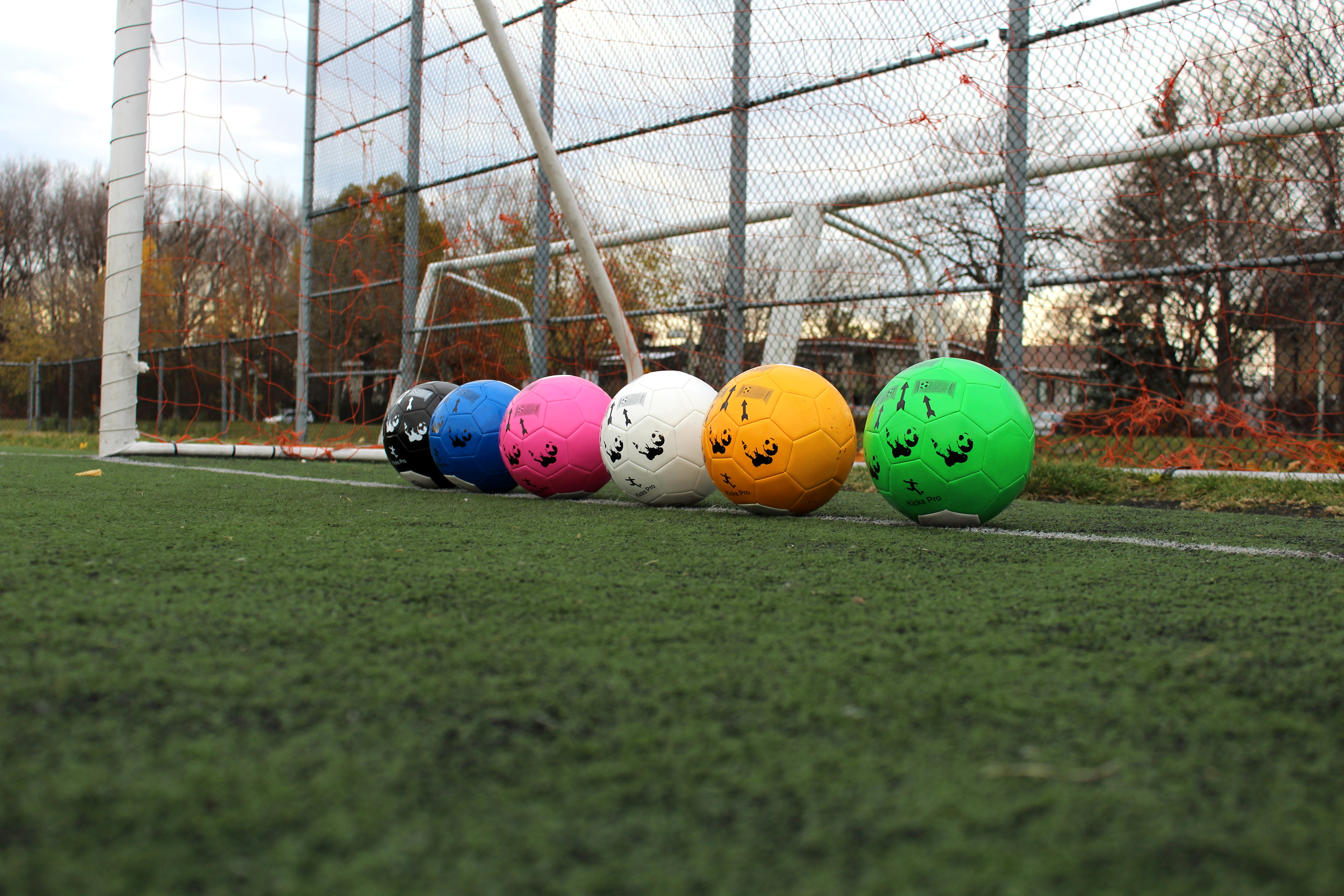 Kicks Pro Soccer Ball'