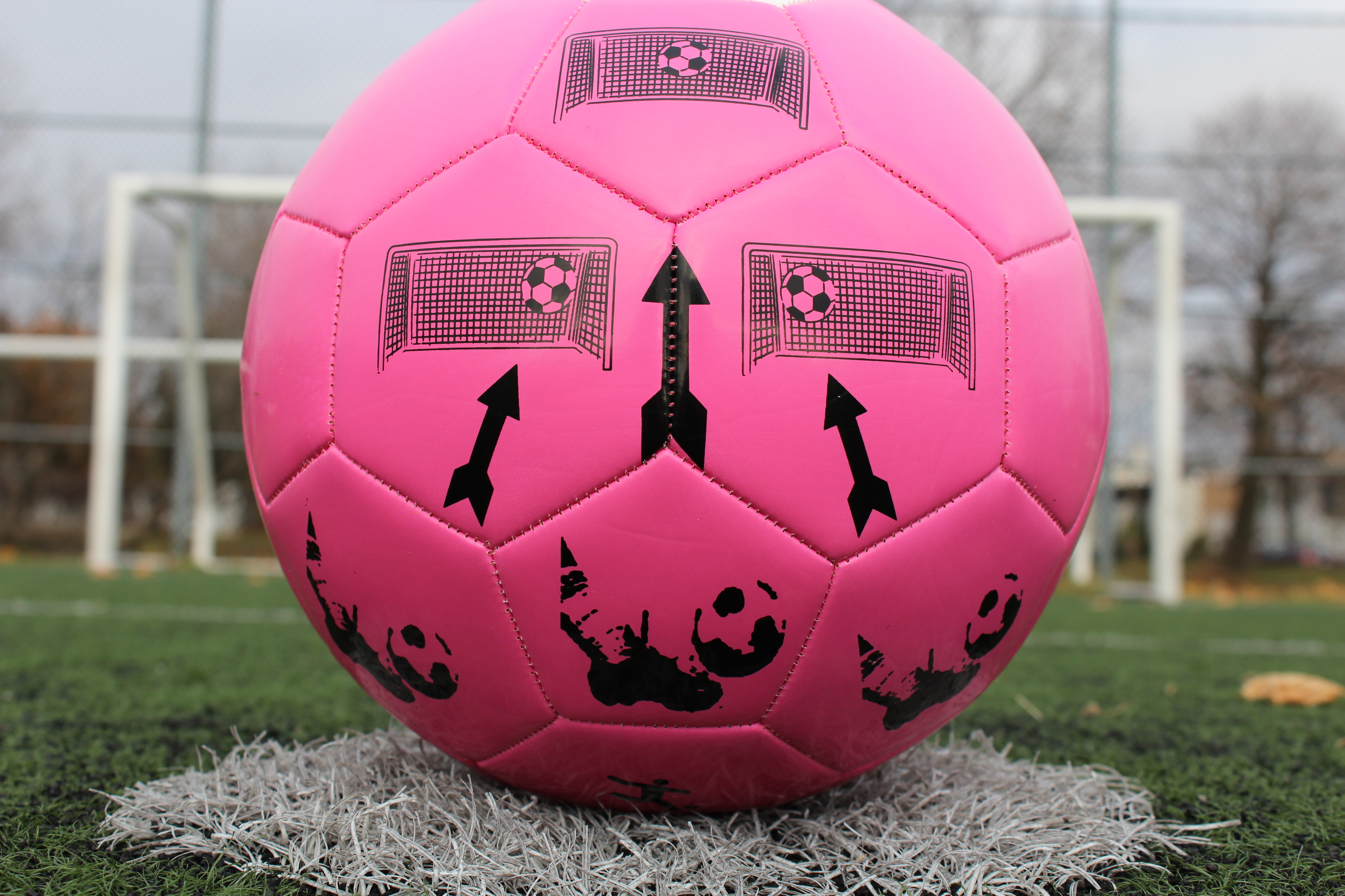 Kicks Pro Soccer Ball