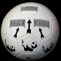 Kicks Pro Soccer Ball