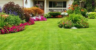 A Superior Edge Lawn Care