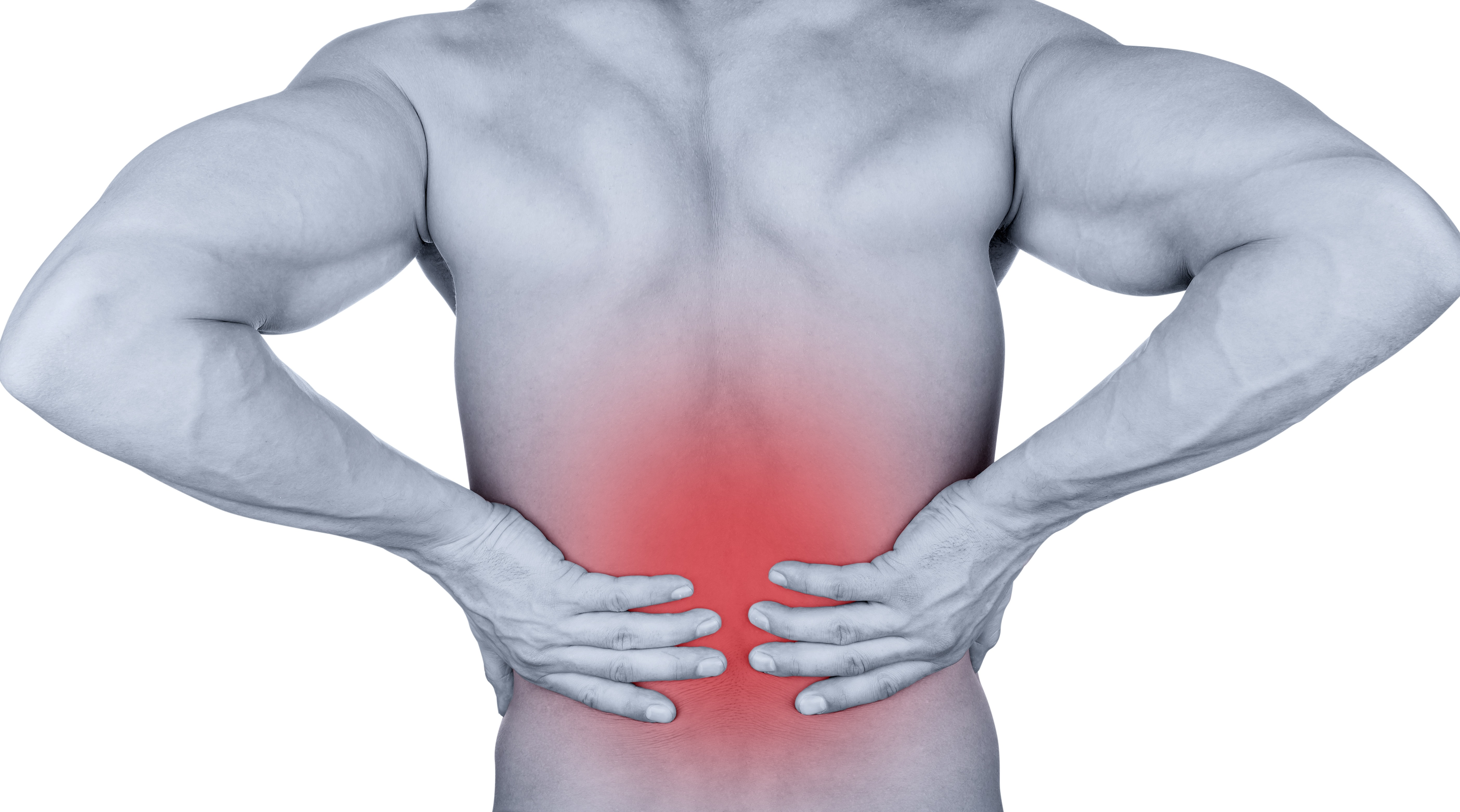 Company Logo For Elite Osteopathy Chiropractic London'