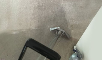 carpet cleaning services'