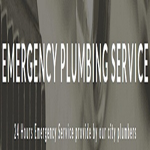 Company Logo For Eagle Plumbers Litchfield Park'