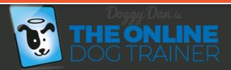 Company Logo For TheDogTrainerGuide.com'