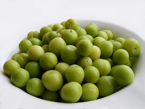 Green Plumbs