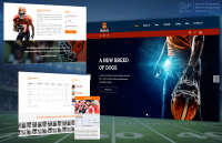 Sports Web and Mobile Development for Startups