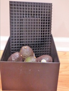 Avocado Ripening Box