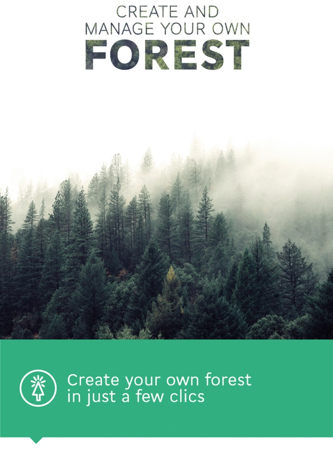 Reforestum