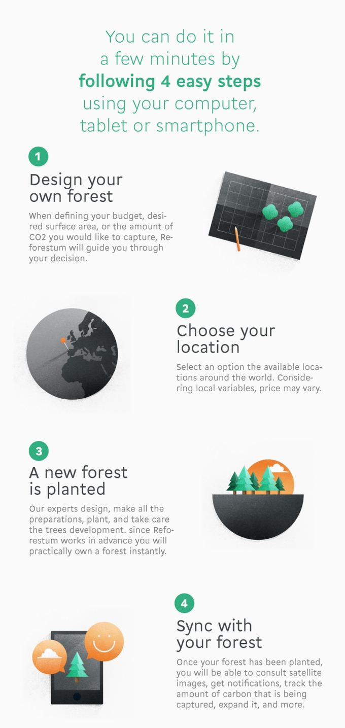 Reforestum