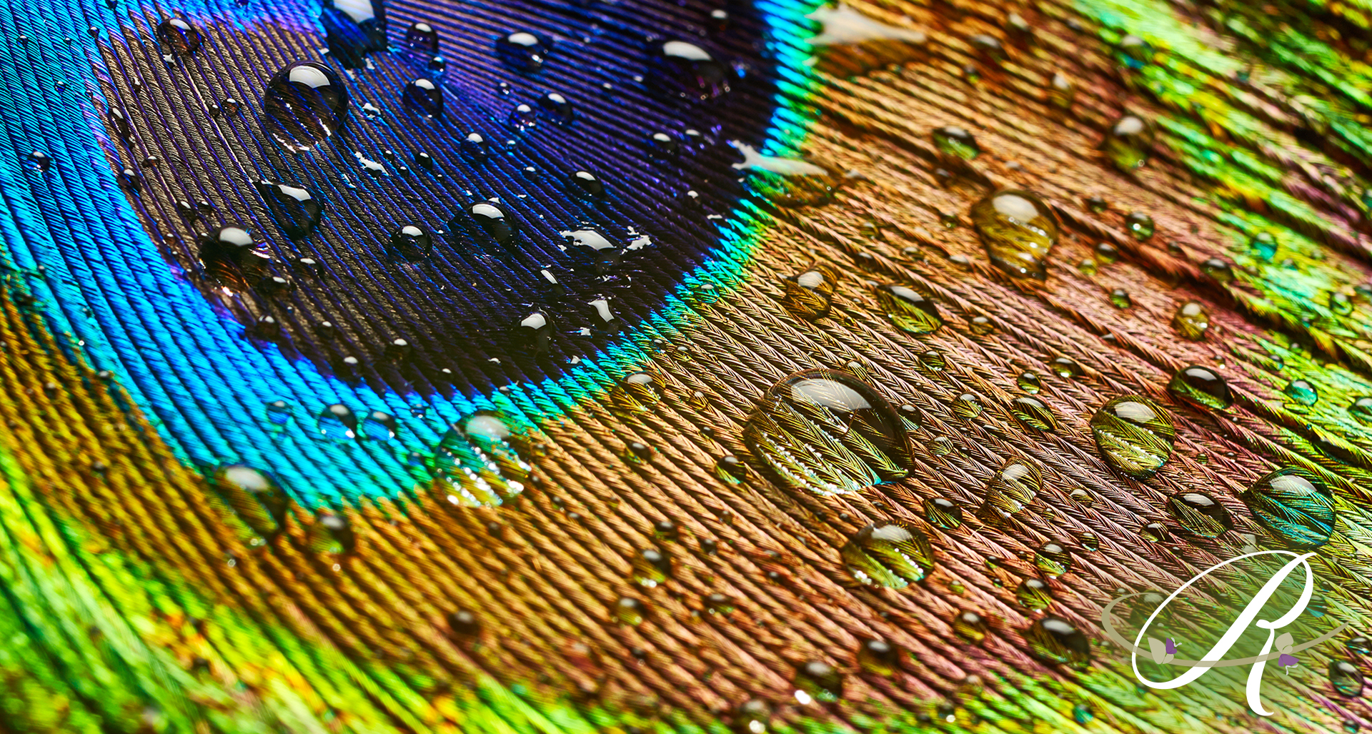 Tackling the Force of Nature