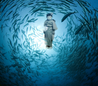 Fish Saw, A Multimedia One-Woman Show by Sachie