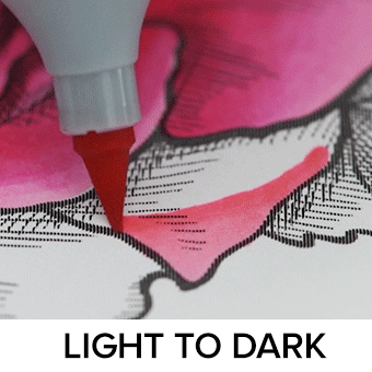 Chameleon Pens - Light 2 Dark