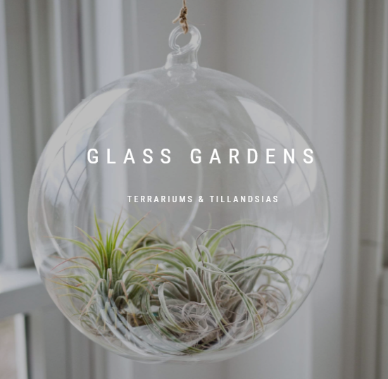 Glass Gardens'