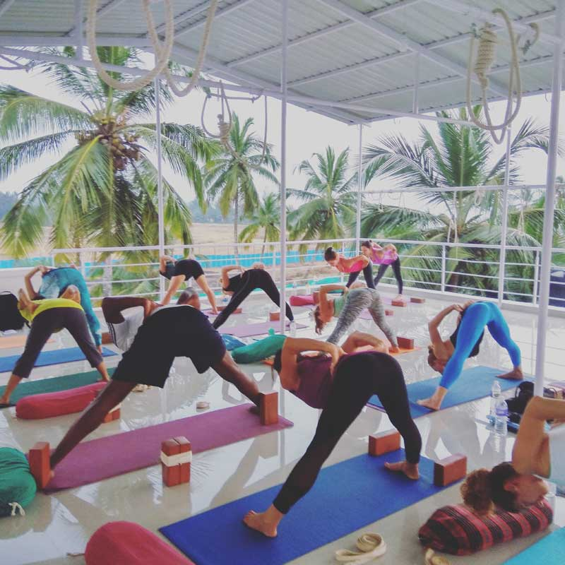 Yoga Teacher Training In India