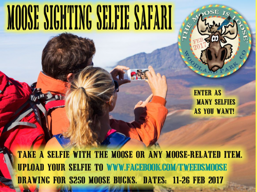 Selfie Safari'