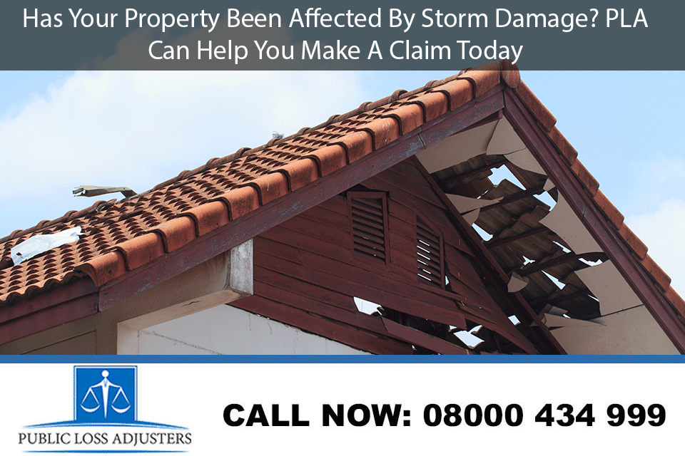 Public Loss Adjusters'