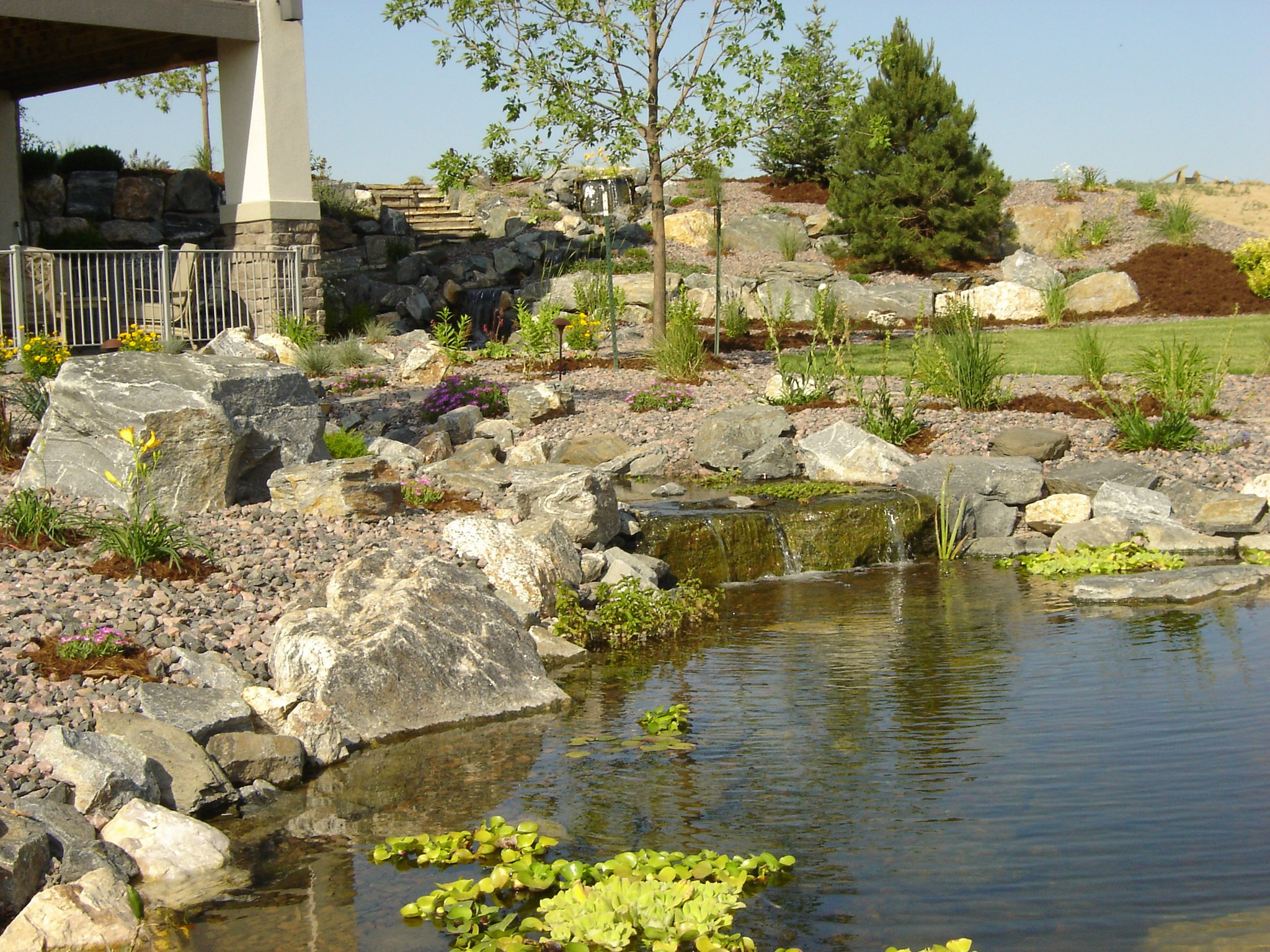 Backyard Landscaping