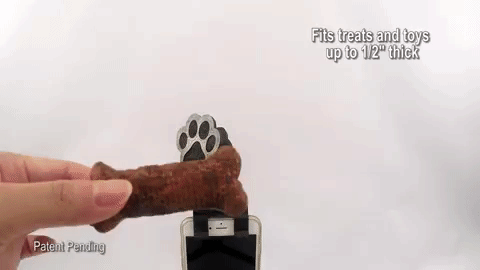 Flexy Paw
