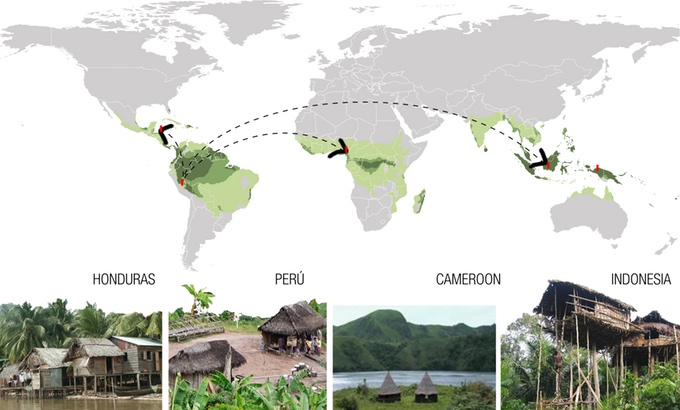 Living Across the Rainforests