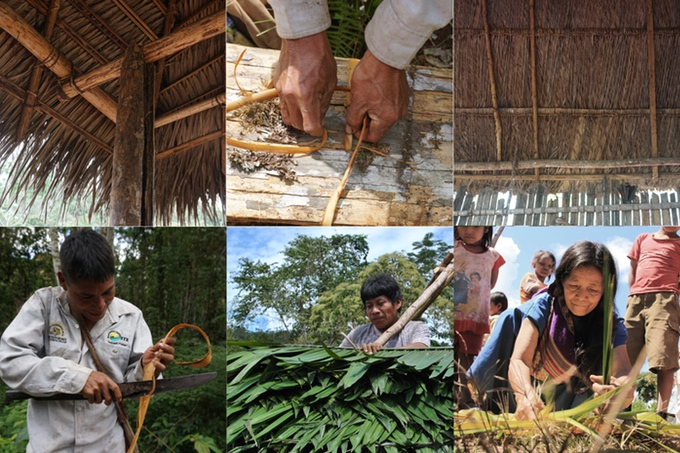 Living Across the Rainforests'