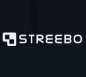 Company Logo For Streebo Inc'