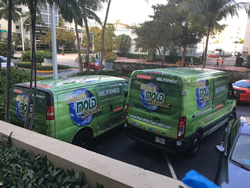 miami mold specialist