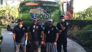Miami Mold Specialist Technicians
