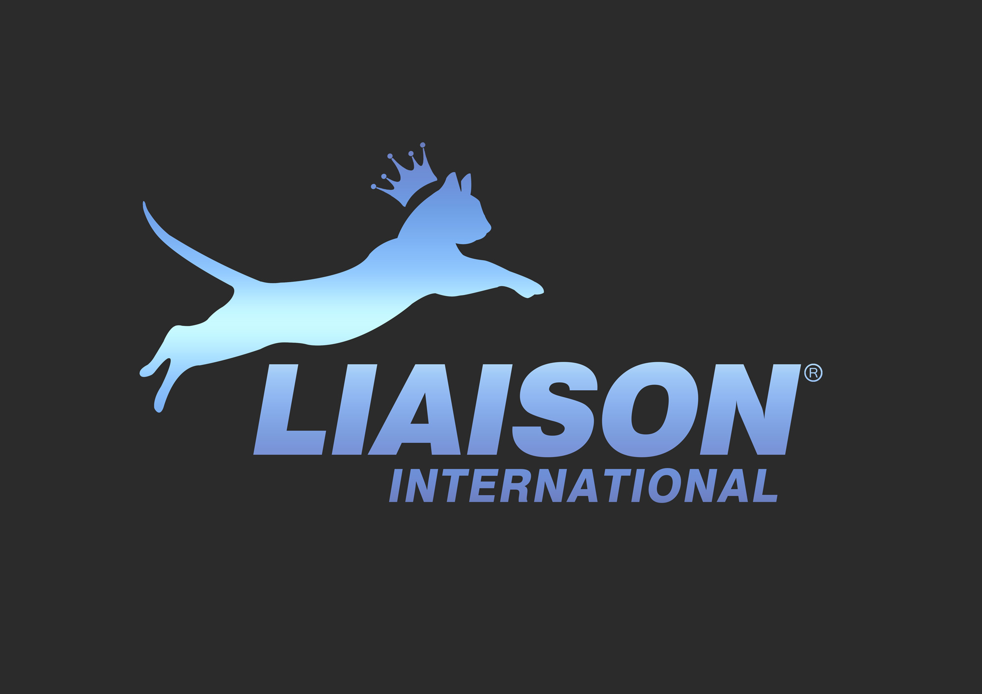 Shanghai Zhiyou Company Logo