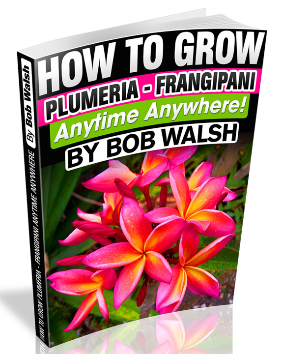 Bob Walsh Enterprises