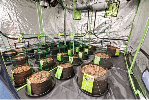 growandharvest.co.uk'