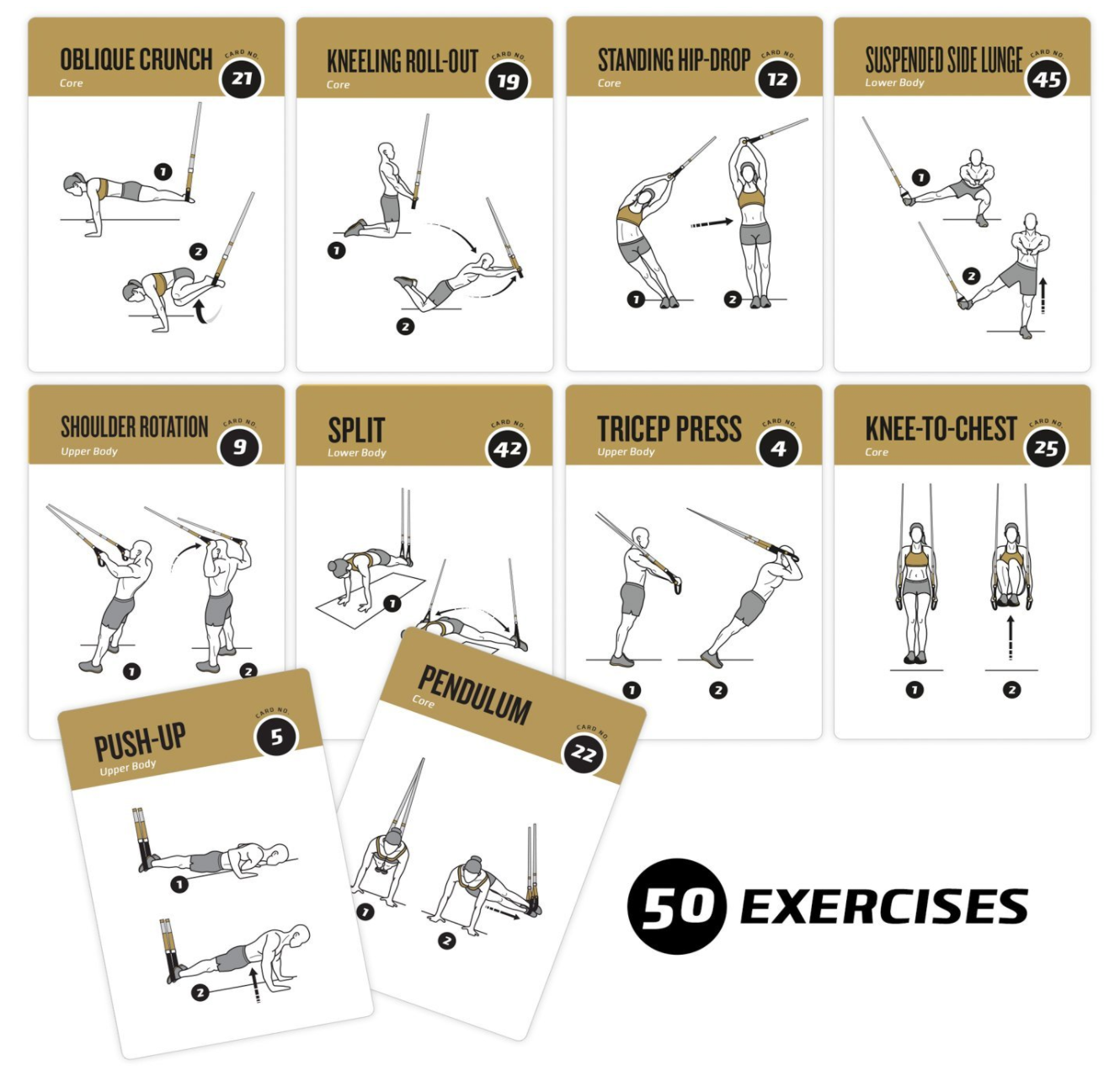 NewMe Fitness' exercise cards.'