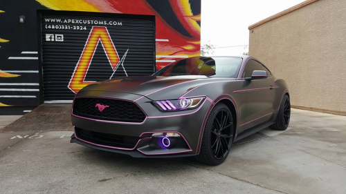 Apex Customs Vinyl Wrapped Ford Mustang'