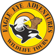 Company Logo For Eagle Eye Adventures'